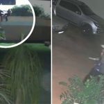 Assalto em Guaíra SP: família é feita refém após morte do pai | G1
