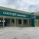 Cooxupé terá devolução de R$ 622 milhões de Funrural | CNN Brasil