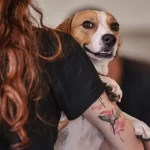 Mulheres desenvolvem vínculos mais fortes com seus pets, aponta estudo