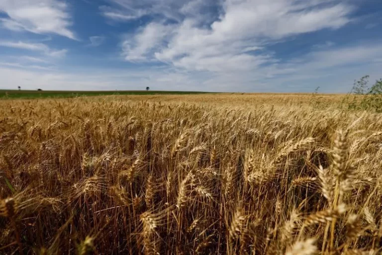 Canetas emagrecedoras desafiam indústria de alimentos, mostra estudo | CNN Brasil