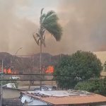 Incêndio no Noroeste DF atinge moradias indígenas; veja vídeo | G1