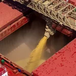 Produtores do Paraná iniciam plantio da safra de soja 2026/2027 no Brasil | CNN Brasil