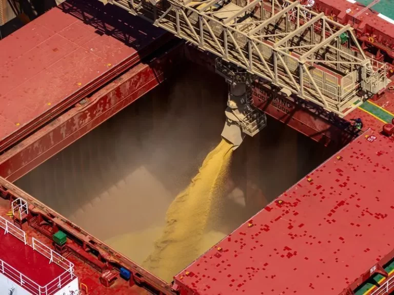 Produtores do Paraná iniciam plantio da safra de soja 2026/2027 no Brasil | CNN Brasil